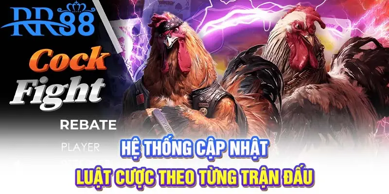 Hệ thống cập nhật luật cược theo từng trận đấu